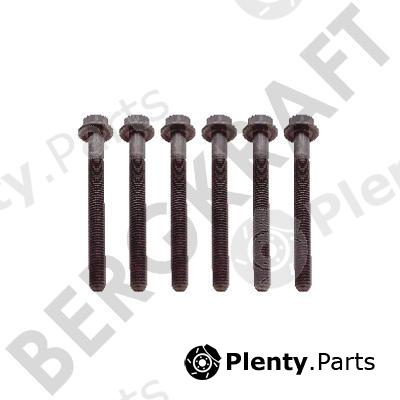  BERGKRAFT part BK8501428 Replacement part