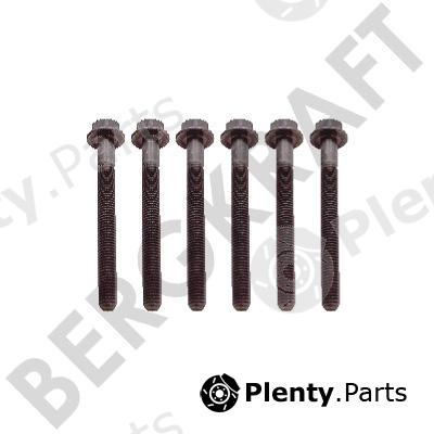  BERGKRAFT part BK8501433 Replacement part