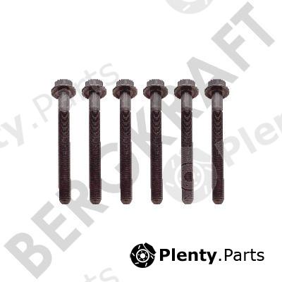  BERGKRAFT part BK8501445 Replacement part