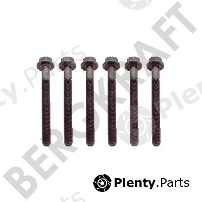  BERGKRAFT part BK8501455 Replacement part