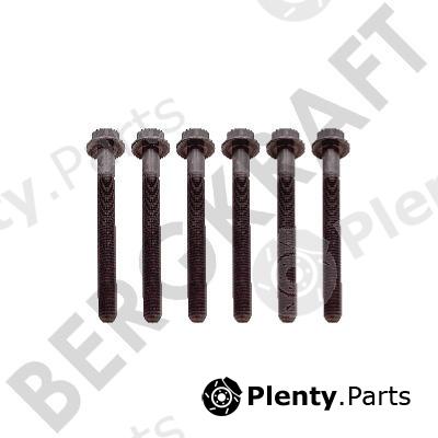  BERGKRAFT part BK8501916 Replacement part