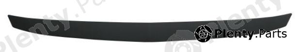  BODY PARTS part RNLOG10-121X (RNLOG10121X) Replacement part