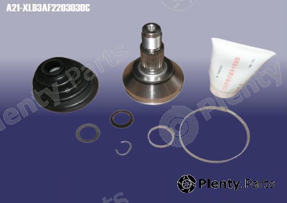 Genuine CHERY part A21XLB3AF2203030C Replacement part