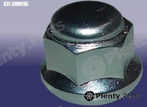 Genuine CHERY part S113100115 Replacement part