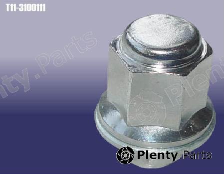 Genuine CHERY part T113100111 Replacement part