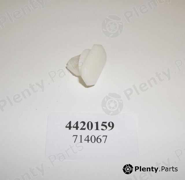 Genuine FORD part 4420159 Body Moulding Clip Transit Connect / Tourneo Connect