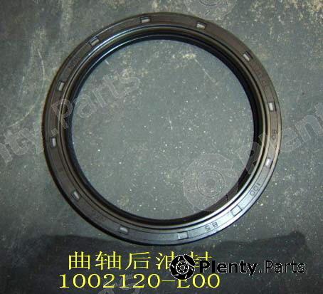 Genuine GREAT WALL part 1002120E00 Replacement part
