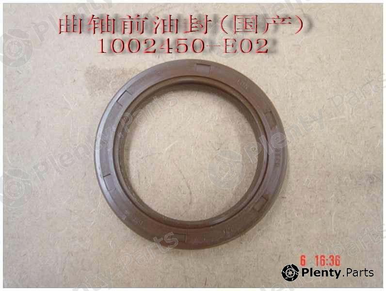 Genuine GREAT WALL part 1002450E02 Replacement part