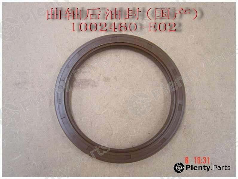 Genuine GREAT WALL part 1002460E02 Replacement part
