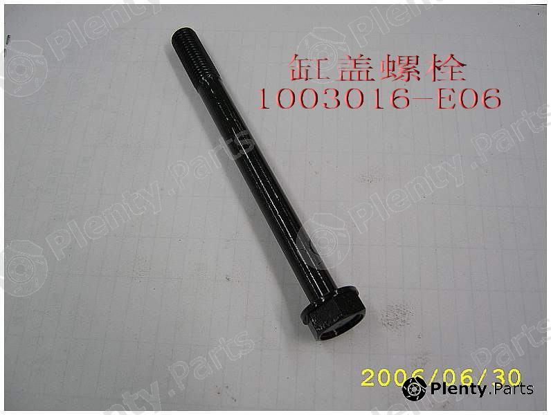 Genuine GREAT WALL part 1003016E06 Replacement part