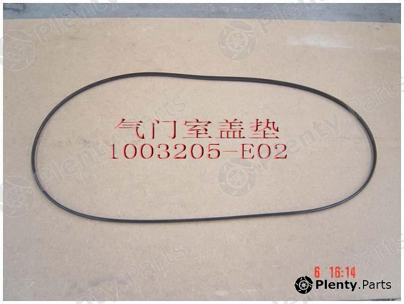 Genuine GREAT WALL part 1003205E02 Replacement part
