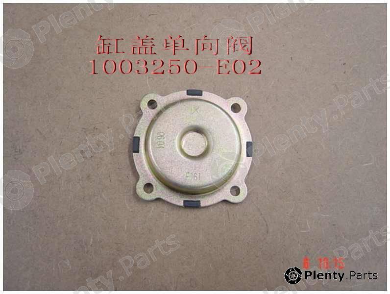Genuine GREAT WALL part 1003250E02 Replacement part