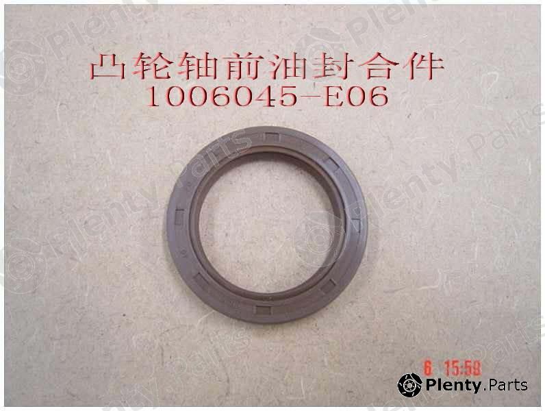 Genuine GREAT WALL part 1006045E06 Replacement part