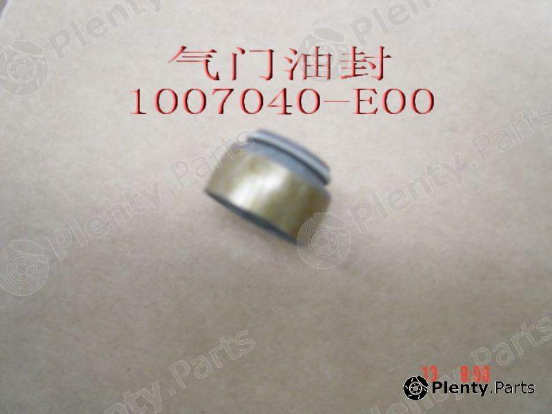 Genuine GREAT WALL part 1007040E00 Replacement part