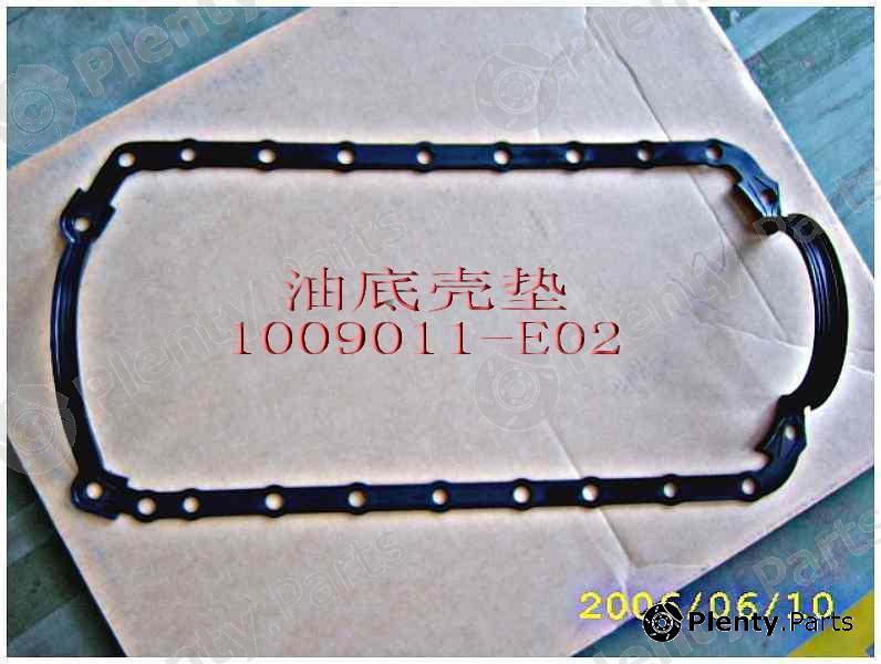 Genuine GREAT WALL part 1009011E02 Replacement part