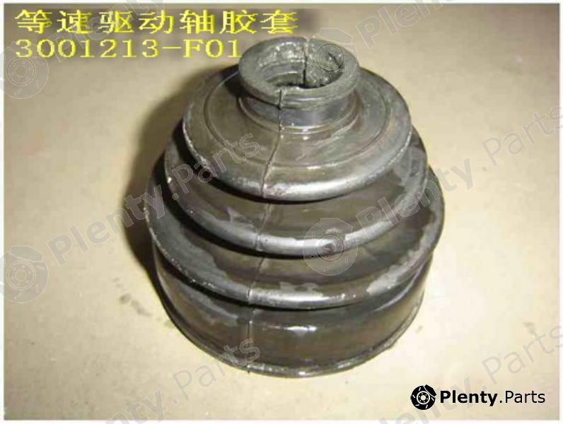 Genuine GREAT WALL part 3001213F01 Replacement part