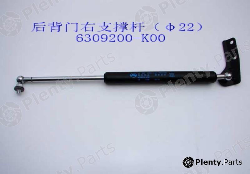 Genuine GREAT WALL part 6309200K00 Replacement part