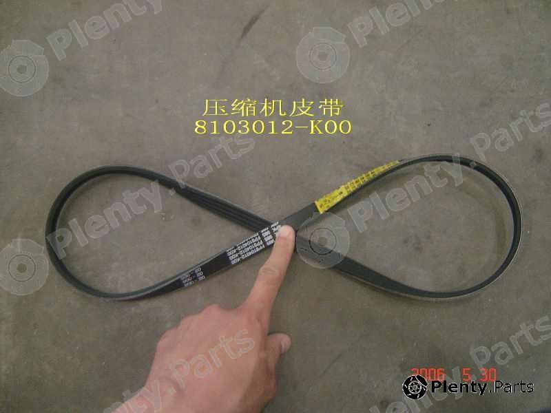 Genuine GREAT WALL part 8103012K00 Replacement part