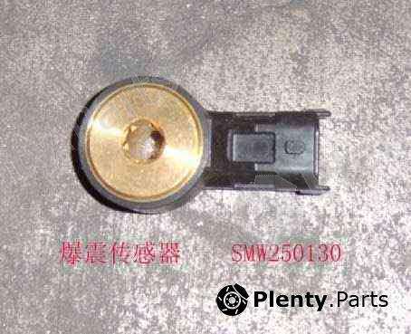 Genuine GREAT WALL part SMW250130 Replacement part