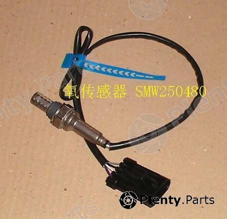 Genuine GREAT WALL part SMW250480 Replacement part