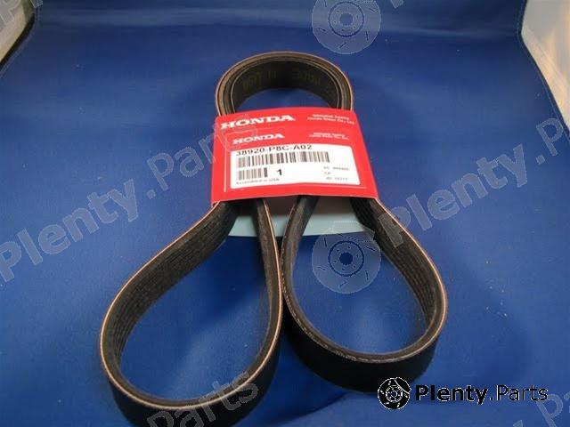 Genuine HONDA part 38920P8CA02 V-Ribbed Belts