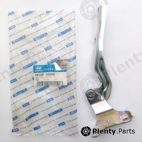 Genuine HYUNDAI / KIA (MOBIS) part 791201G000 Hinge, bonnet