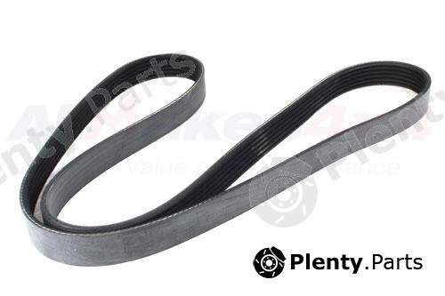 Genuine LAND ROVER part PQS101262L V-Ribbed Belts