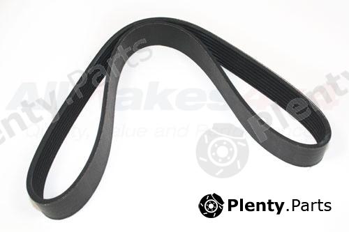 Genuine LAND ROVER part PQS500221 V-Ribbed Belts