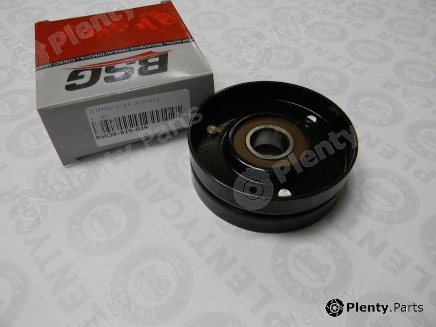 BSG part BSG30-615-019 (BSG30615019) Replacement part