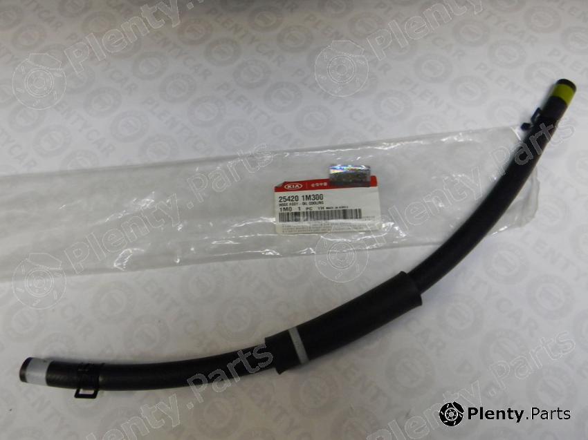 Genuine HYUNDAI / KIA (MOBIS) part 254201M300 Replacement part