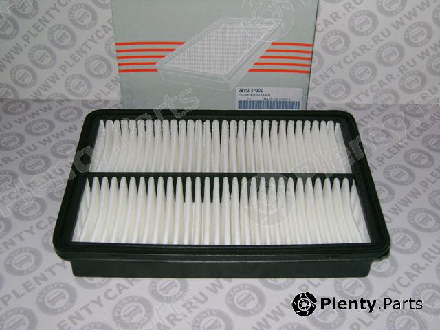 Genuine HYUNDAI / KIA (MOBIS) part 281132P300 Air Filter