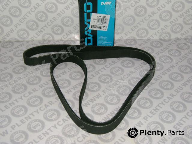  DAYCO part 6PK1650 V-Ribbed Belts
