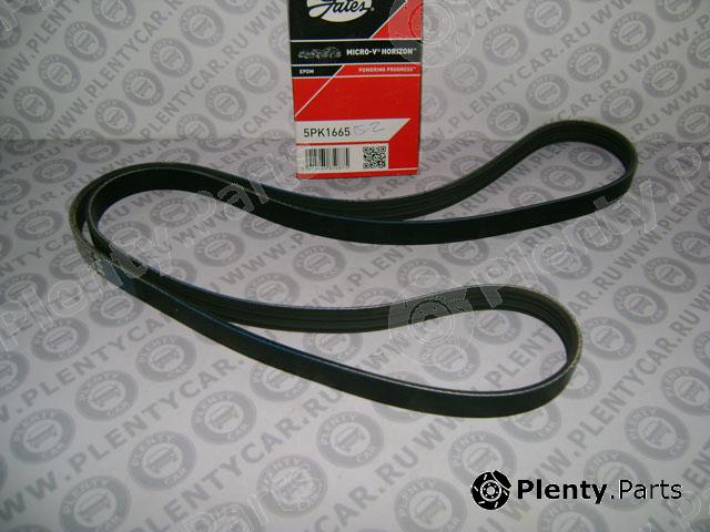  GATES part 5PK1665 V-Ribbed Belts