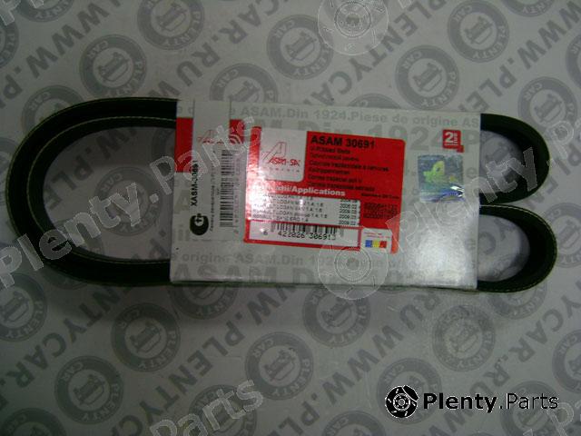  ASAM part 30691 V-Ribbed Belts