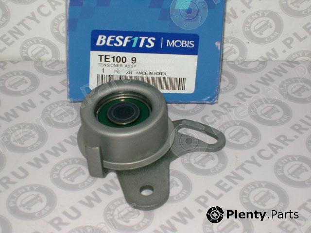  BESF1TS part TE1009 Replacement part