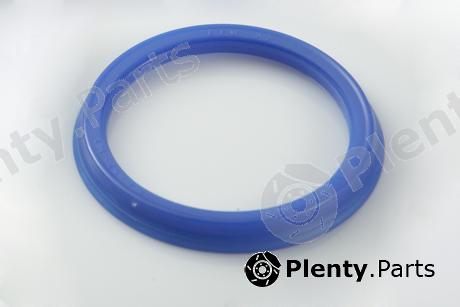  PE Automotive part 100.021-00 (10002100) Replacement part