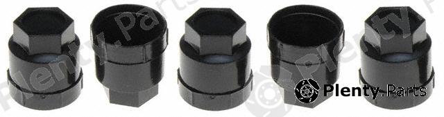  RAYBESTOS part 10004N Replacement part