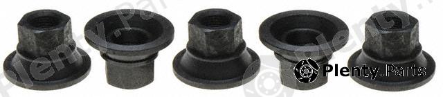  RAYBESTOS part 10017N Replacement part