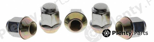  RAYBESTOS part 7976N Replacement part