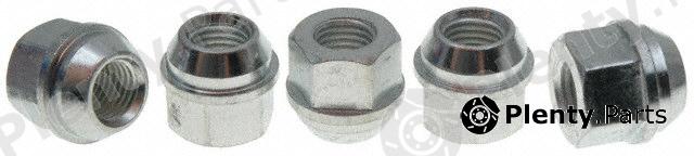  RAYBESTOS part 9900N Replacement part