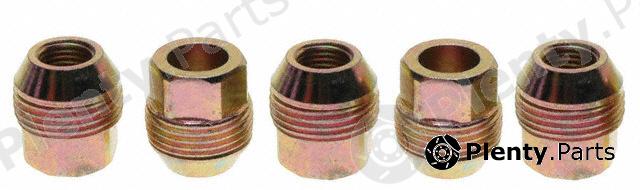  RAYBESTOS part 9918N Replacement part