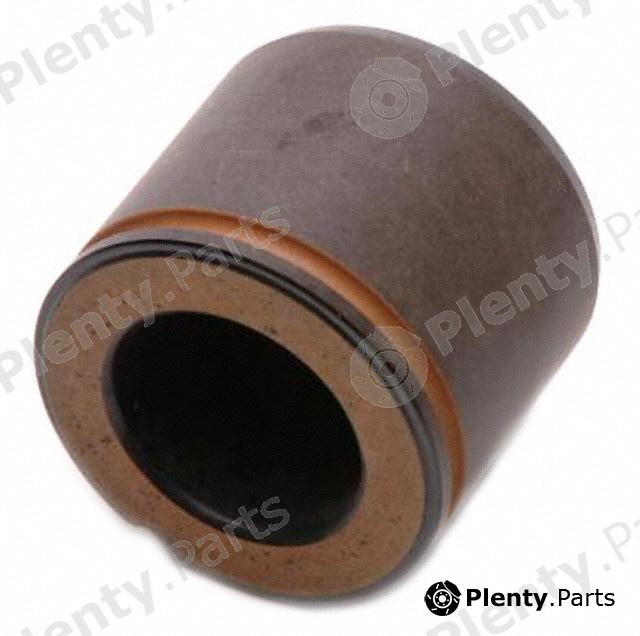  RAYBESTOS part DP85030 Replacement part