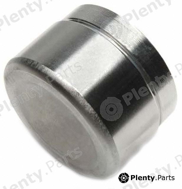  RAYBESTOS part DPS85010 Replacement part