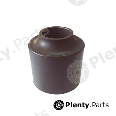  SEM LASTIK part 7972 Mounting, leaf spring