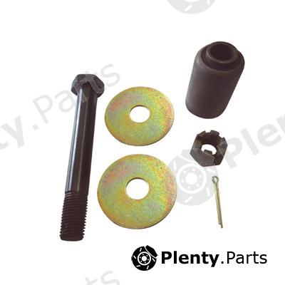  SEM LASTIK part 7994 Bush, leaf spring