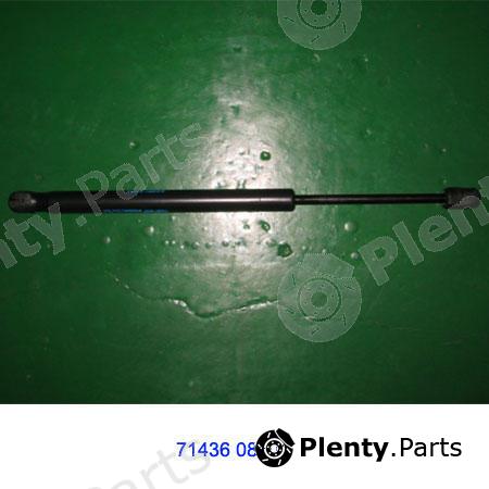 Genuine SSANGYONG part 7143608101 Gas Spring, boot-/cargo area