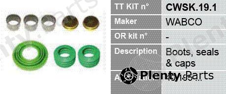  TRUCKTECHNIC part CWSK.19.1 (CWSK191) Replacement part