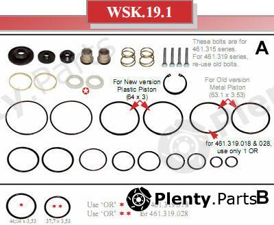  TRUCKTECHNIC part WSK.19.1 (WSK191) Replacement part