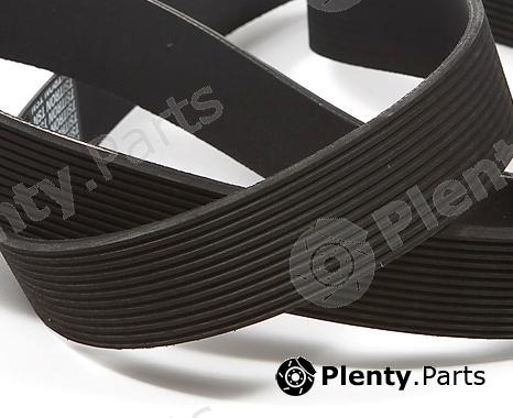  TSN part 10150 Replacement part