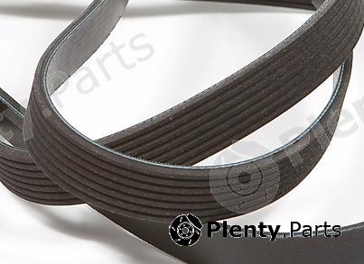  TSN part 10164 Replacement part